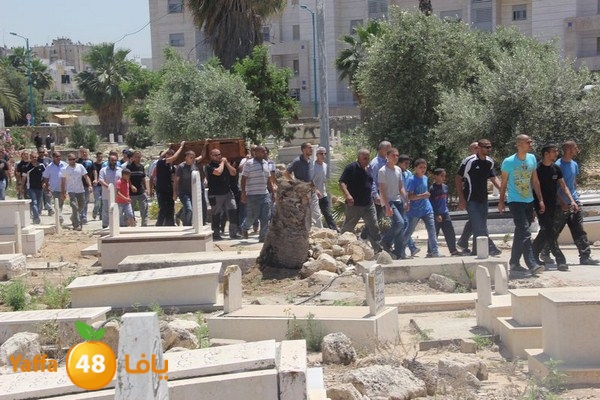 jaanzaa 0501 (10).JPG